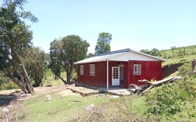 Shipping Container Homes: What You Need to Know